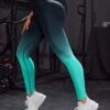 Ombre Tummy Control Sports Leggings -Gym Chic Wear 16887133767c3ec584d45fa743e8c221f2d3a9fd2d thumbnail 405x552