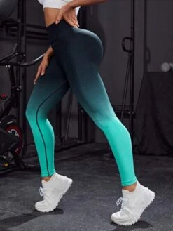 Ombre Tummy Control Sports Leggings