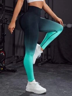 Ombre Tummy Control Sports Leggings -Gym Chic Wear 1688713380ff600303bbc9a23e9af0679b1f970a58 thumbnail 405x552