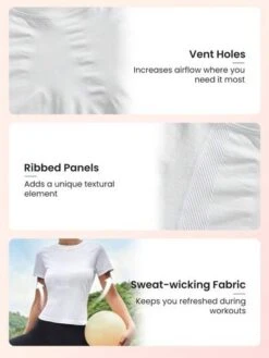 SHEIN Leisure Solid Raglan Sleeve Sports Tee -Gym Chic Wear 16889748065e229309151bcb6d37326b9b5d153923 thumbnail 405x552