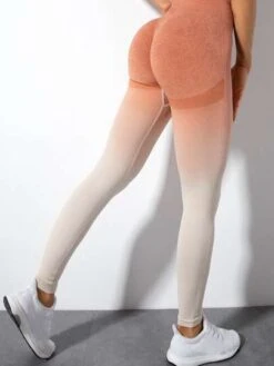 Gradient Seamless Women's Sports Yoga Pants