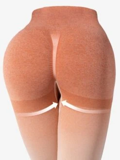 Gradient Seamless Women's Sports Yoga Pants -Gym Chic Wear 1689211236aa550df15487a2e57338ae3e4e86c9f5 thumbnail 405x552